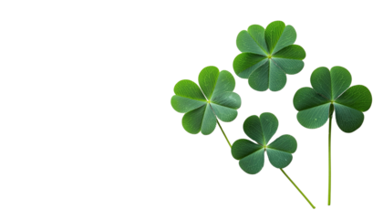 Three Green Clover Leaves with Fresh Botanical Appearance and Natural Texture isolated on transparent background