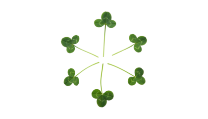 Five Tiny St. Patrick’s Day Clover Leaves with Natural Green Texture and Minimal Botanical Style, isolated on transparent background