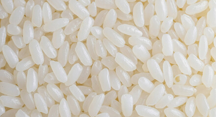 Macro close-up shot of raw, short-grain white sushi rice, showing the pearly texture and detail of the grains