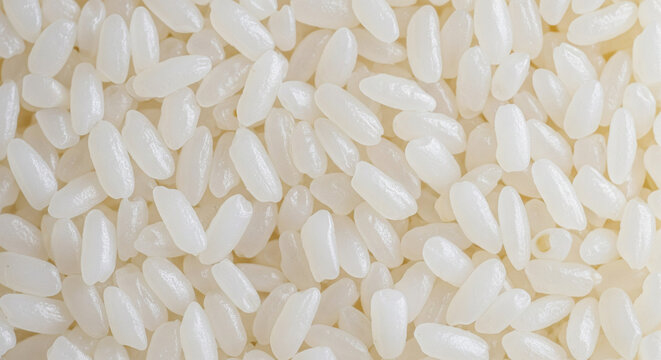 Macro close-up shot of raw, short-grain white sushi rice, showing the pearly texture and detail of the grains