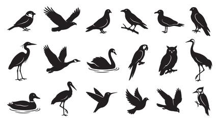 Fototapeta premium Large collection of black bird silhouettes showing various species like eagles, swans, owls, and pigeons in different poses such as flying, standing, and swimming in a graphic icon set