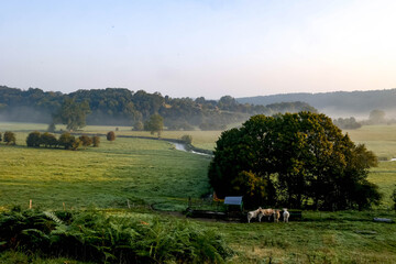 The Risle valley in Champignolles, Eure, France