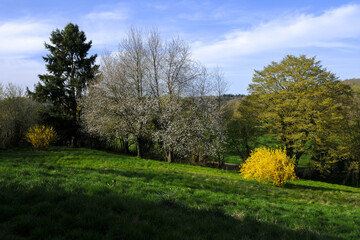 Garden in spring in Le Mesnil en Ouche, Eure, France