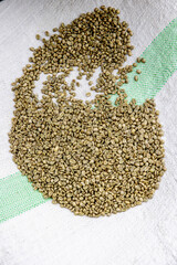 Processed coffee in a dry mill in Kivu, western province, Rwanda