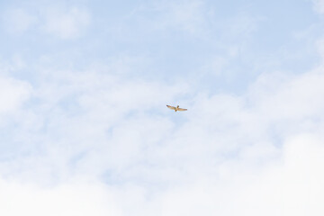 秋の渡り鳥。数日だけ慶良間諸島に滞在する。
サシバ, タカ科,
Grey-faced Buzzard, Butastur indicus,
座間味港
座間味島沖縄県島尻郡慶良間諸島-2025
沖縄本島から40km西方にある諸島。
大小30以上の島々からなる島嶼群は全体が国立公園に指定されている。
珊瑚礁の海、白い砂浜、緑の山地は世界屈指の美しさ。
多くの貴重な動植物が生息している。
