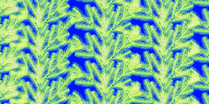 wheat field background