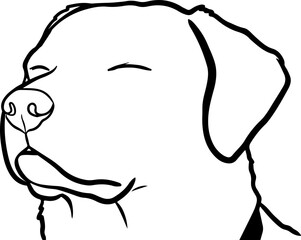 Dog with eyes closed meme