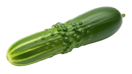 Isolated cucumber vegetable, a fresh and nutritious ingredient for pickling or salads ready to eat