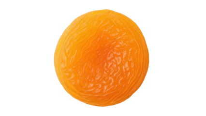 Isolated dried apricot fruit, healthy snack food, orange color, wrinkly, wrinkled skin