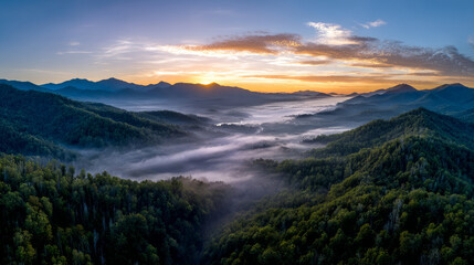 Mountain view above clouds flowers and blooming bushes at sunset sunbeams. Calm close-up beautiful landscape, screensaver background, Beautiful panorama. Summer vacation, holiday, amazing nature.