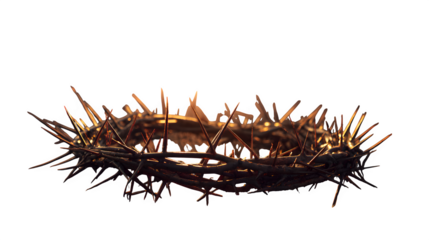 Crown of Thorns 3d rendered, isolated on transparent background