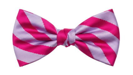Isolated pink and lavender striped bow tie, formal neckwear apparel for men and women
