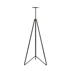 Metal plant support on a transparent background