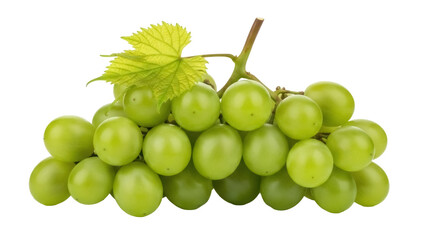 Isolated bunch of fresh green grapes with stem and leaves for healthy eating, raw fruit