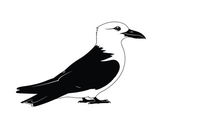 Fototapeta premium Black silhouette of a bird with white head standing alone isolated on white background
