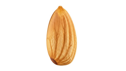 Isolated Almond nut healthy brown snack food, roasted nut with a smooth texture and firm core