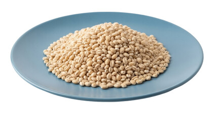 Isolated pile of pearled barley grains displayed on blue plate, healthy whole grain food