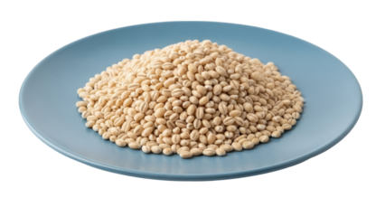 Isolated pile of pearled barley grains displayed on blue plate, healthy whole grain food