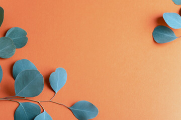 Blue eucalyptus leaves on warm orange background creating modern botanical flat lay. Copy space