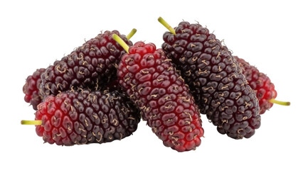 Isolated fresh pile of mulberry fruit for healthy eating with natural red and purple hues
