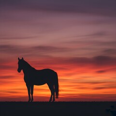 Horse Silhouette Against Dramatic Sunset Sky