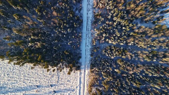 Aerial view of snowy road in Jelgava winter forest, serene nature