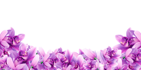 Frame made of violet flowers orchid isolated