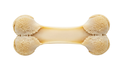 Isolated pet treat chew, rawhide bone shaped snack for domestic animal, dog toy, chewable food