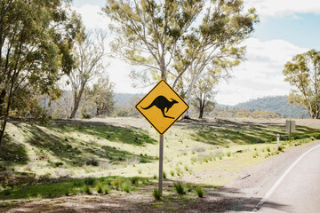 A yellow diamond-shaped sign with a black jumping kangaroo symbol on the side of the road outdoor at daytime during a road trip in Flinders Ranges the Australia.