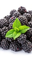 Fresh blackberries isolated on a white background