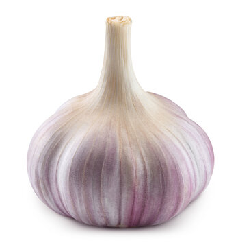 Fresh garlic bulbs isolated on white, with clipping path