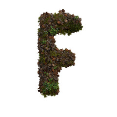Forest Moss 3D Alphabet or PNG Letters