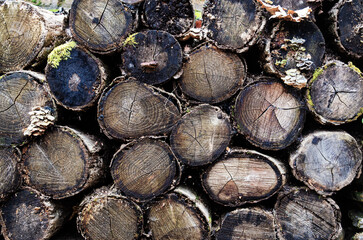 Dry old wooden logs with bark. Background, texture, wallpaper.Stack log texture, Natural wood cut background