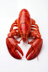 Whole Red Lobster Isolated on White Background