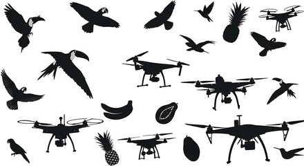 Birds, Drones, and Tropical Fruits Silhouette Composition.