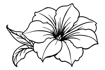 Fototapeta premium petunia silhouette line art vector illustration