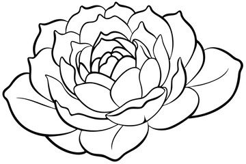 peony silhouette line art vector illustration