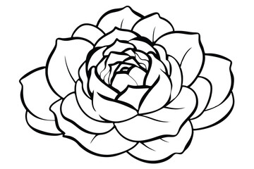 peony silhouette line art vector illustration