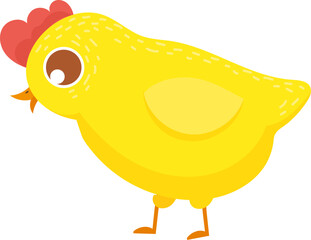 Yellow chick looking down on white background
