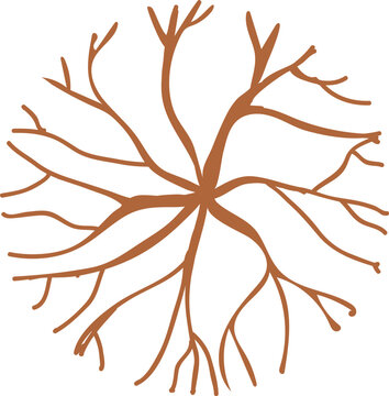 Brown tree roots or brain neuron connections