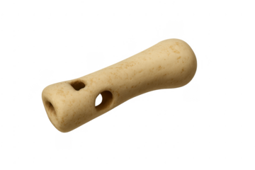 Bone artifact flute from the neanderthal era