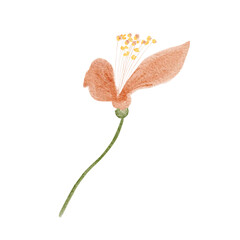 Flower with green stem hand-painted watercolor isolated on white. Delicate botanical clip art perfect for wedding stationery, invitations, branding, packaging, floral designs, modern feminine projects