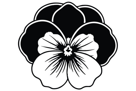 pansy silhouette line art vector illustration