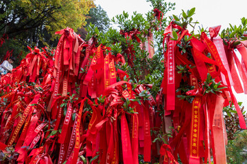Tianzi, Hunan, China. 11-08-2024. Red ribbons tied to the trees in  the Tianzi Mountains (Avatars Mountains) in Zhangjiajie National Forest Park in Hunan, China.