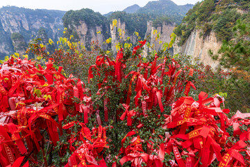 Tianzi, Hunan, China. 11-08-2024. Red ribbons tied to the trees in  the Tianzi Mountains (Avatars Mountains) in Zhangjiajie National Forest Park in Hunan, China.