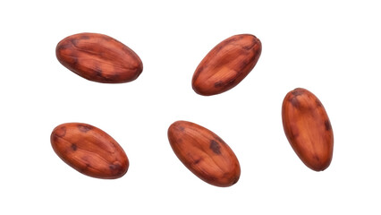 Isolated Cocoa beans on a bright surface; brown dry seeds of Theobroma cacao plant