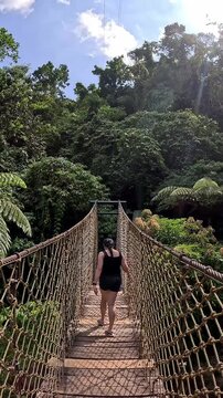 A woman walking on a hanging bridge leading to a dense jungle foliage in the trail towards Pulang Bato Waterfall, a popular tourist attraction in Valencia, Negros Oriental, Philippines