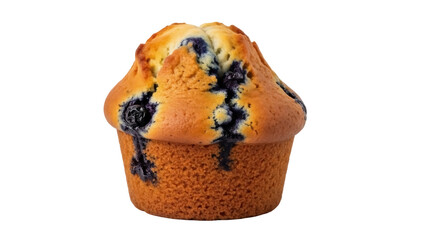 Isolated blueberry muffin, a delicious breakfast dessert, baked to perfection, sweet treat