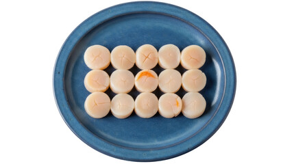 Isolated raw scallops arranged on blue plate ready to cook delicious seafood meal dish