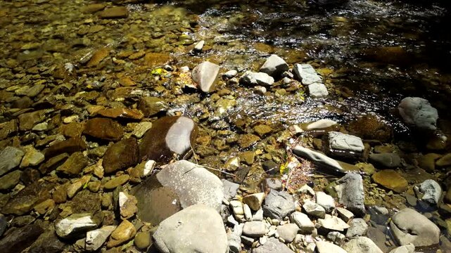 Clear Shallow Creek Water Over Sunlit Rocks And Pebbles